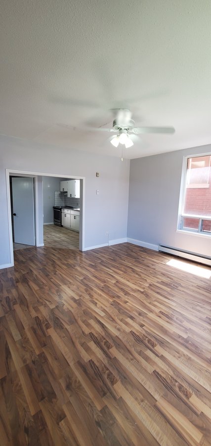 520 Egerton Street - Photo 10