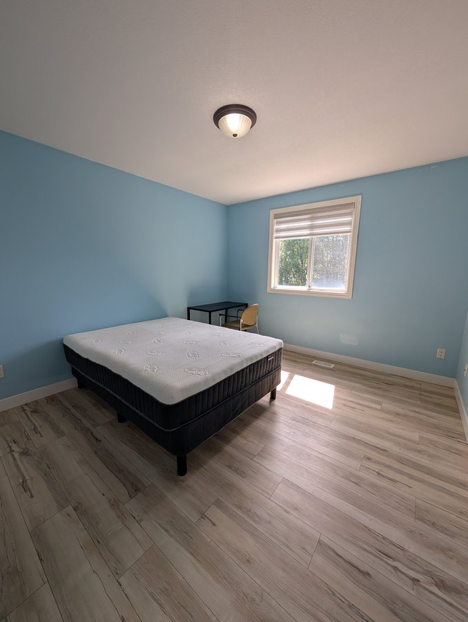 831 Capulet Lane - Photo 12