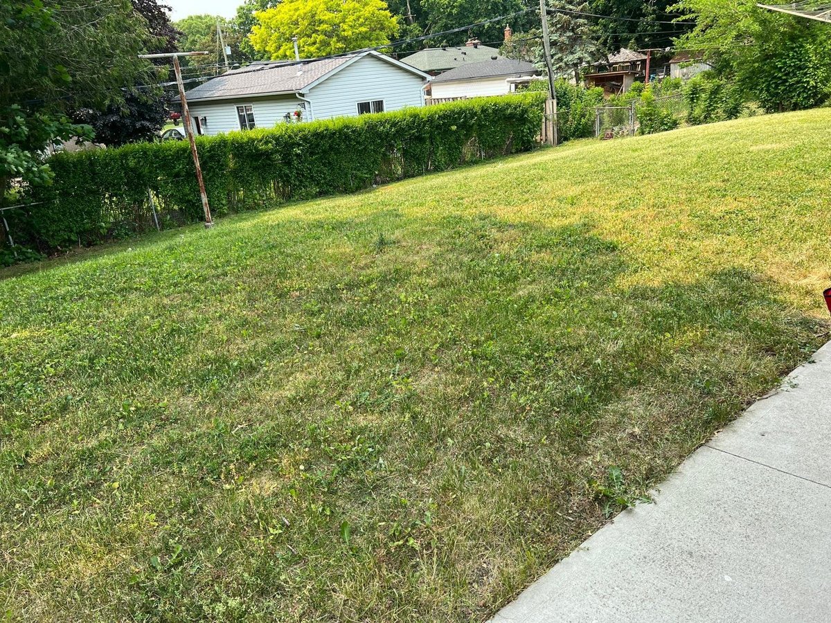 284 Regal Drive - Photo 13