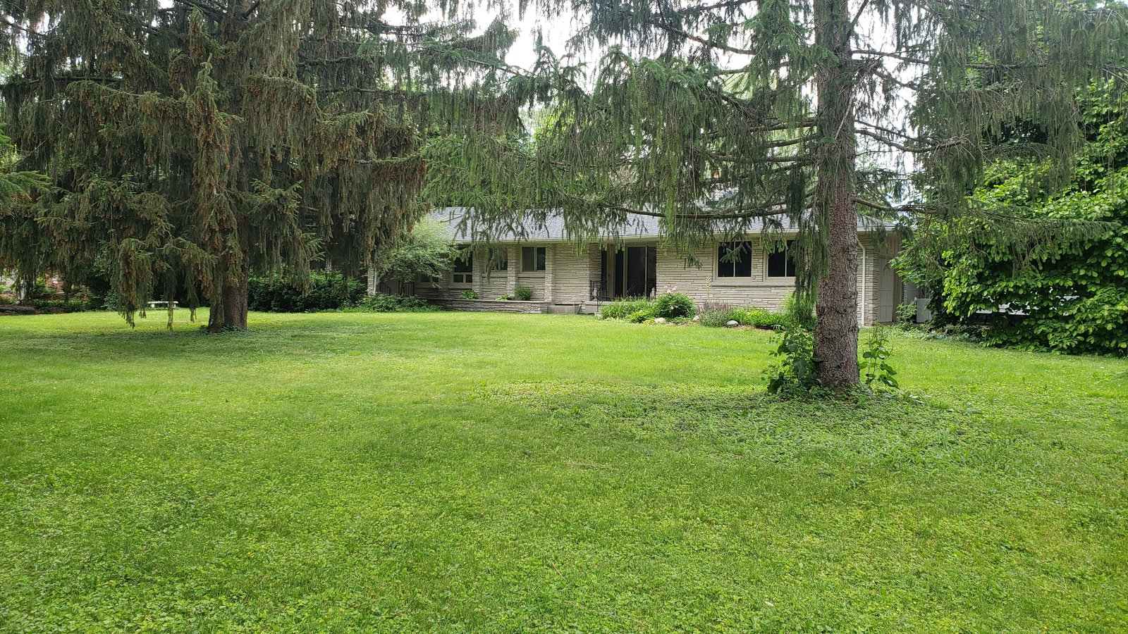 London ON Houses for Rent