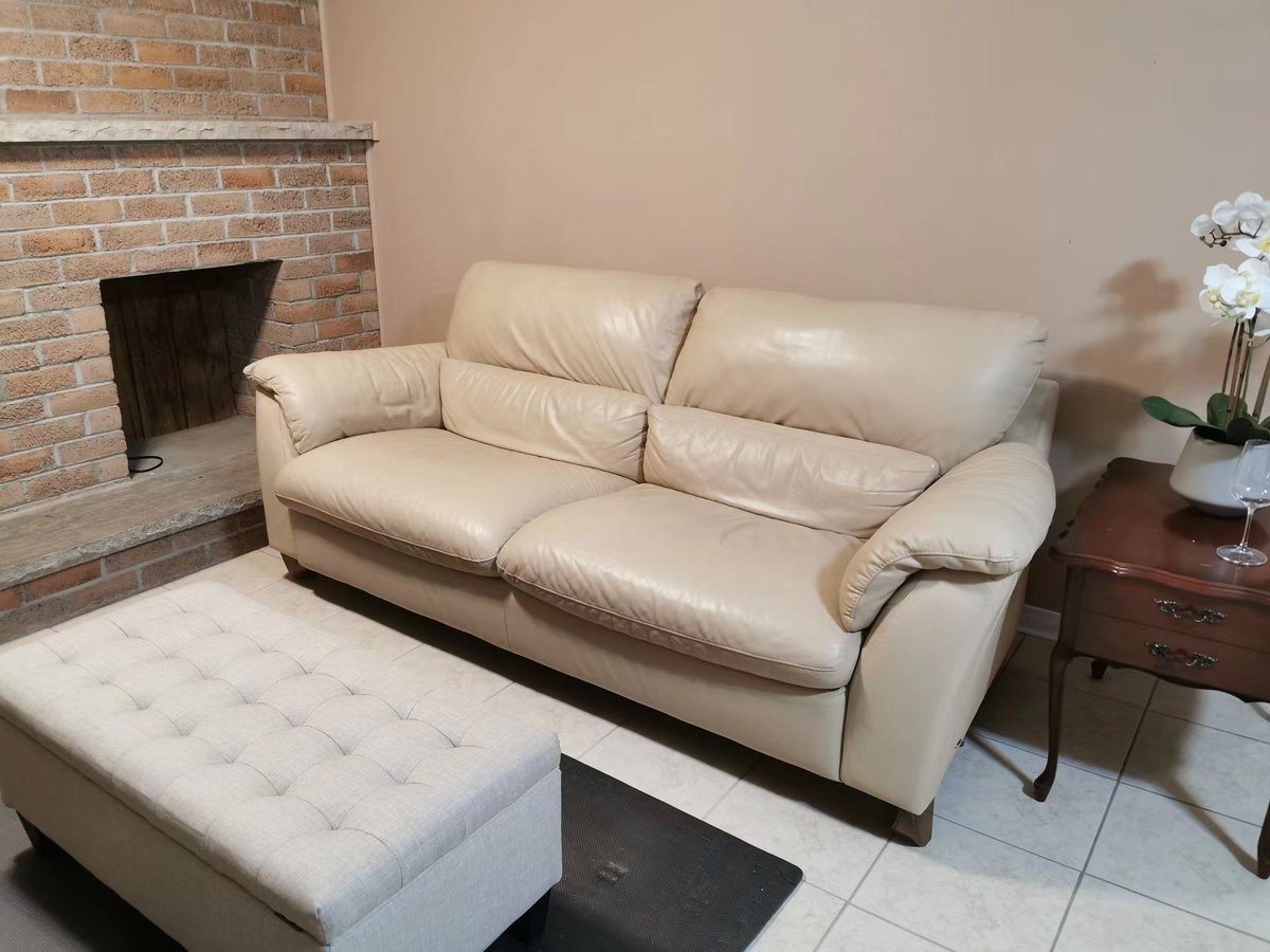 309 Blue Forest Drive - Photo 2