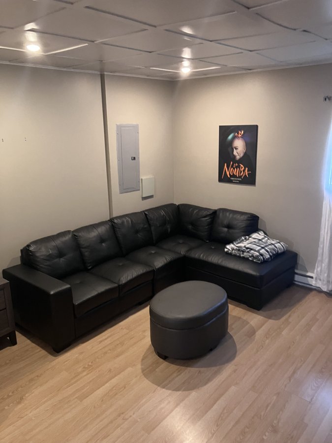 294 Rue Migneault - Photo 8