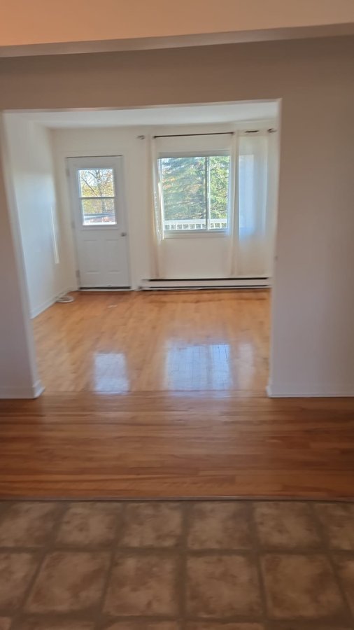 351 Rue Saint-Laurent Ouest - Photo 2