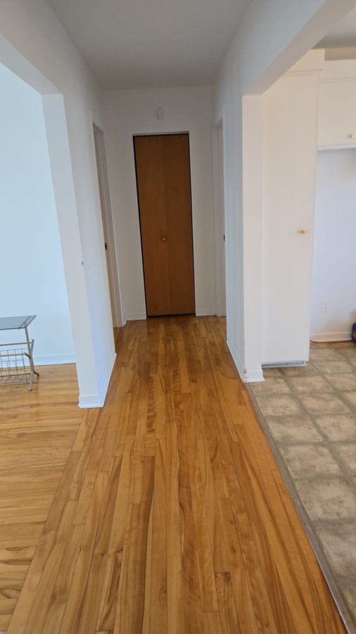 351 Rue Saint-Laurent Ouest - Photo 3