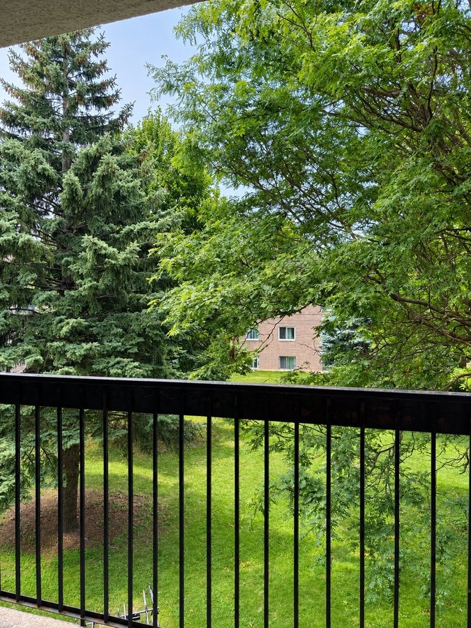 2573 Boulevard Perron - Photo 6
