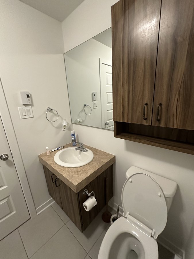 4721 Rue de la Légion - Photo 7
