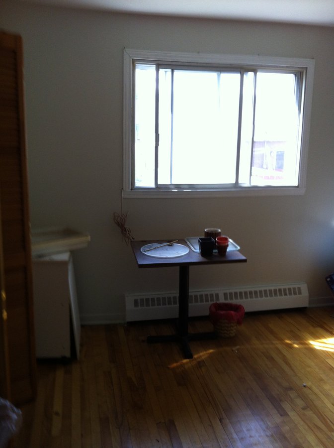 735 Rue Darveau - Photo 7