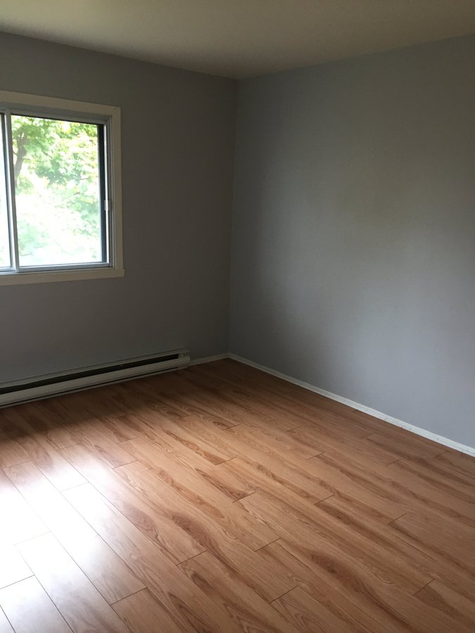 735 Rue Darveau - Photo 9