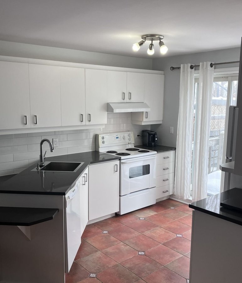 292 Rue Migneault - Photo 4