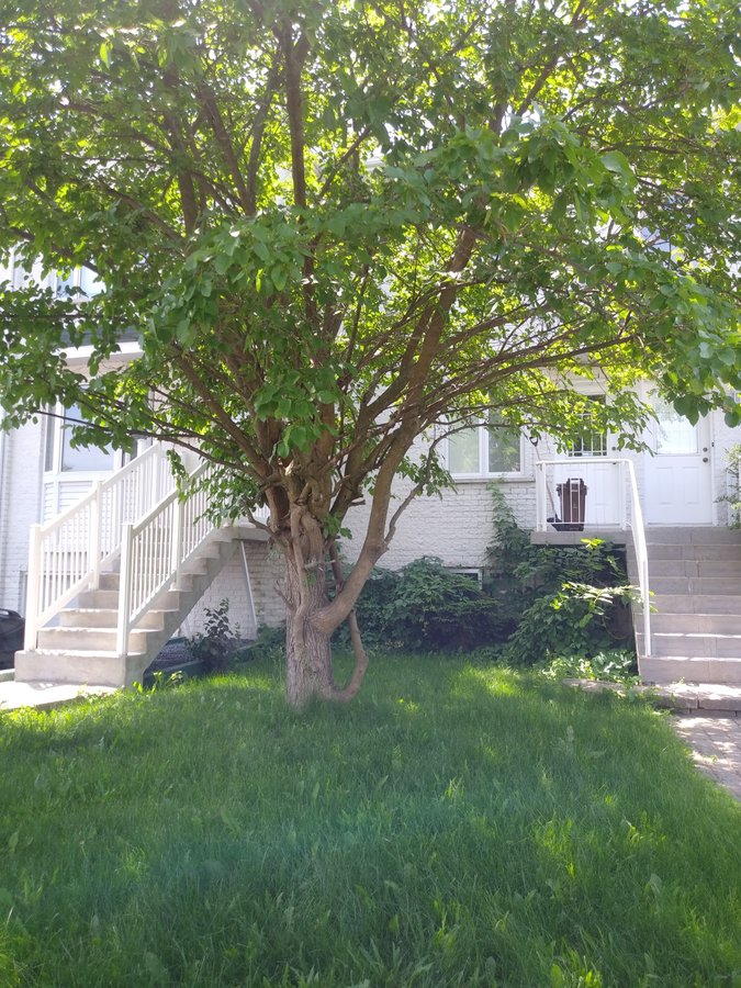 3140 Rue Matte - Photo 9