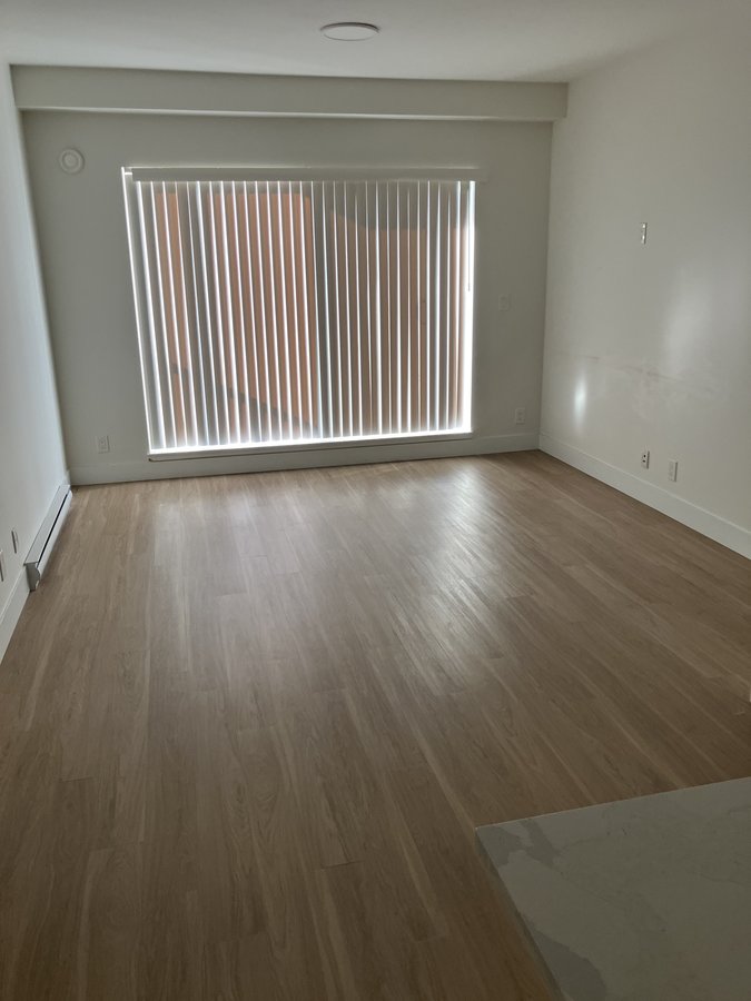 22325 Saint Anne Avenue - Photo 4