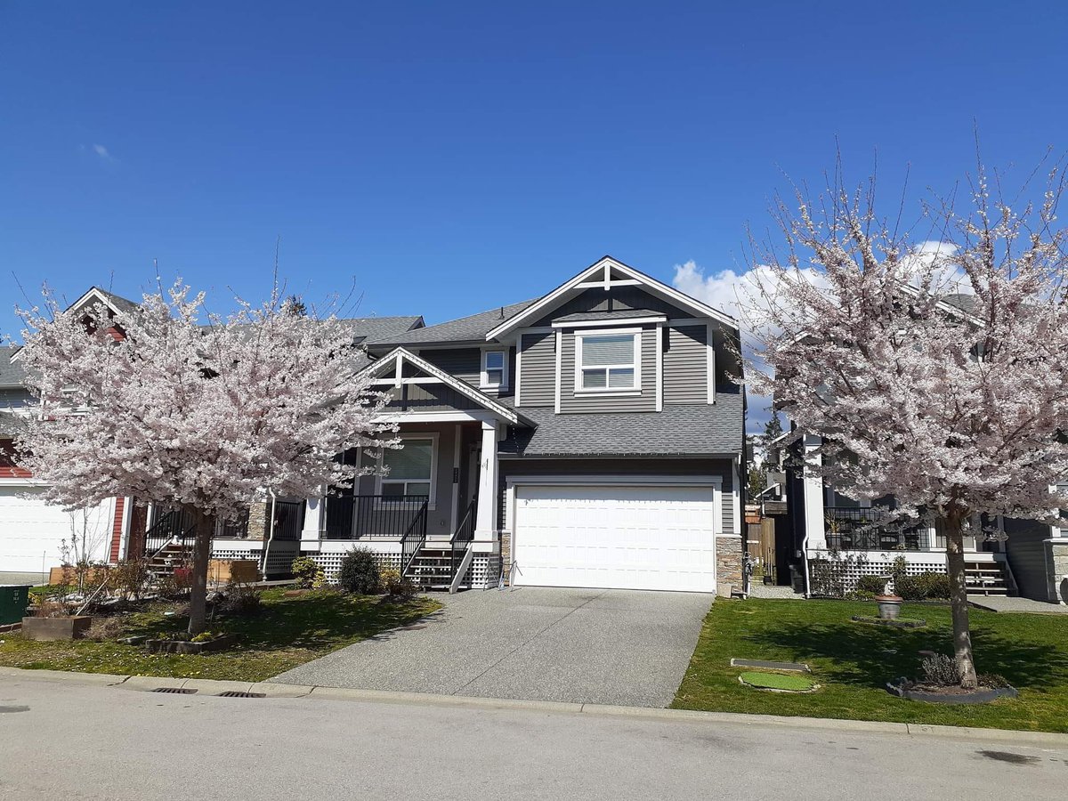 Rentals.ca Maple Ridge Apartments, Condos and Houses For Rent