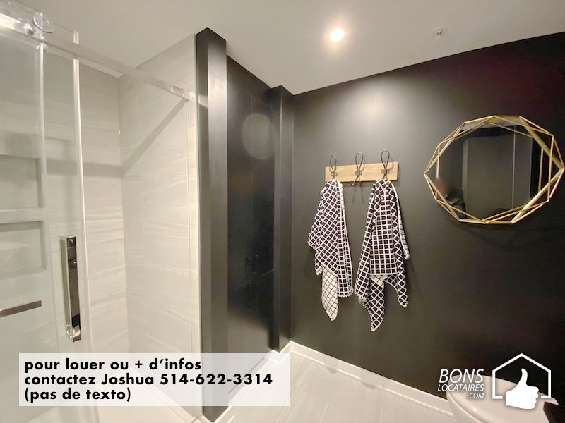 12038 Rue de Blois - Photo 16
