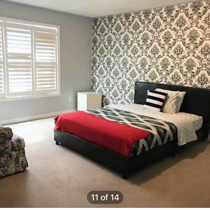 Bloomburg Drive - Photo 2