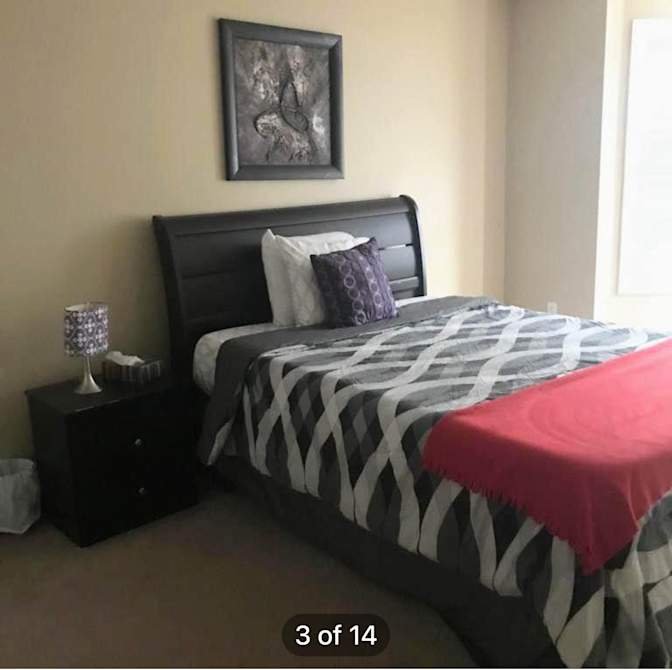 Bloomburg Drive - Photo 1