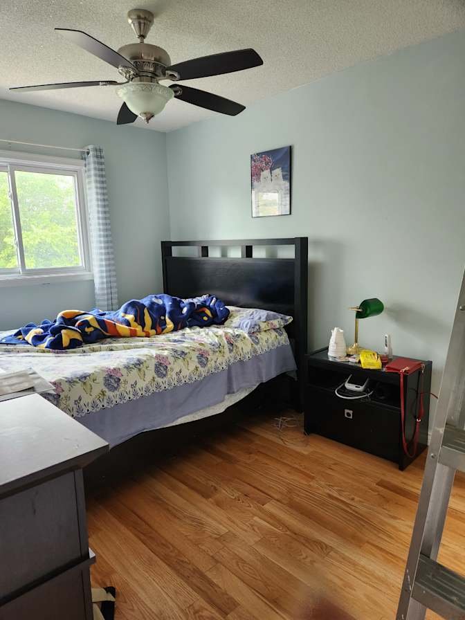 Lisgar - Photo 2