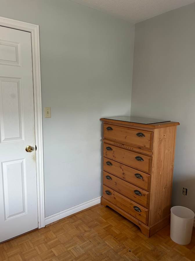 Weeping Willow Drive - Photo 3