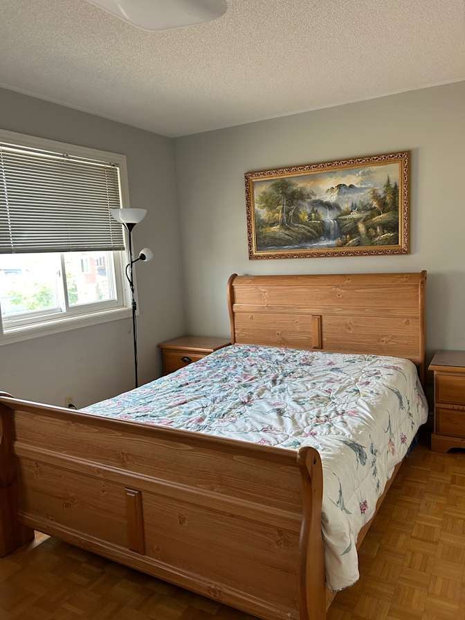 Weeping Willow Drive - Photo 4