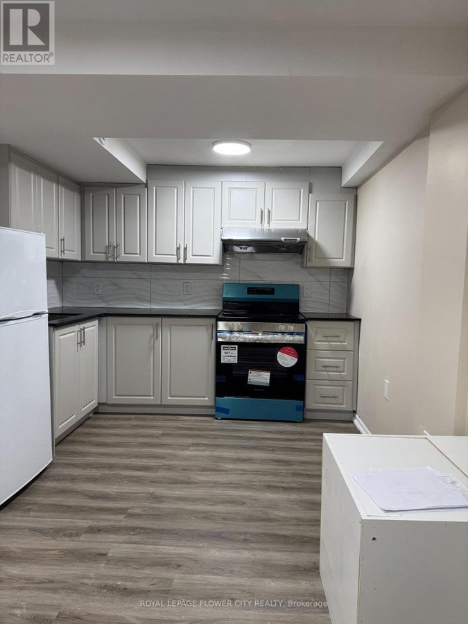 BASEMENT - 5435 RICHMEADOW MEWS - Photo 5