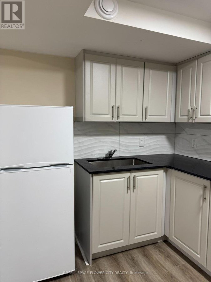 BASEMENT - 5435 RICHMEADOW MEWS - Photo 8