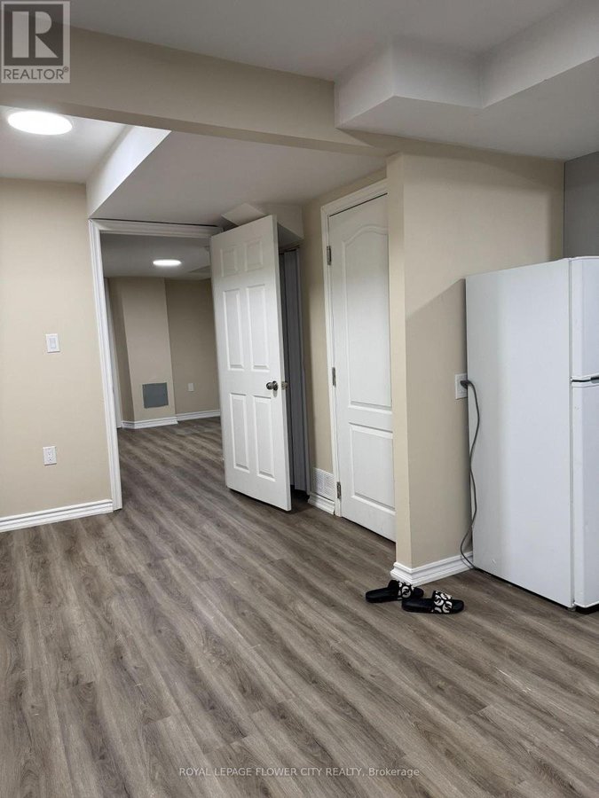 BASEMENT - 5435 RICHMEADOW MEWS - Photo 10