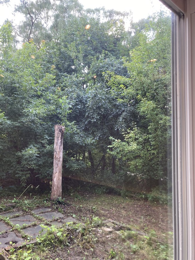 1449 Ithaca Court - Photo 12