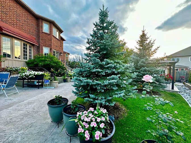 Roseglen Court - Photo 17