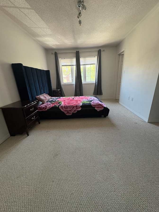 Meadowvale Village - Photo 4
