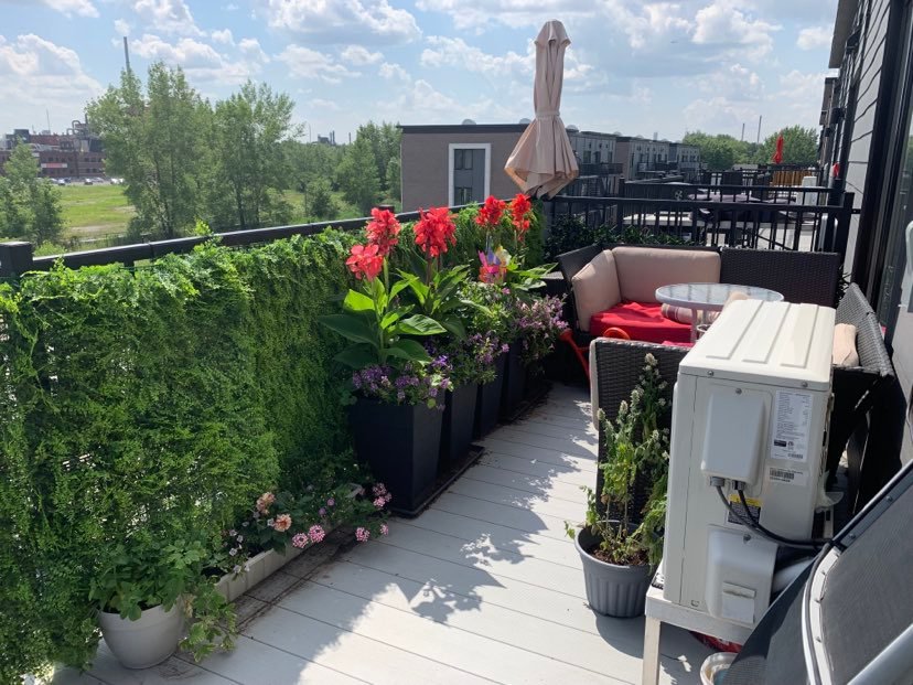 Rentals.ca ) MontréalEst Apartments, Condos and Houses For Rent