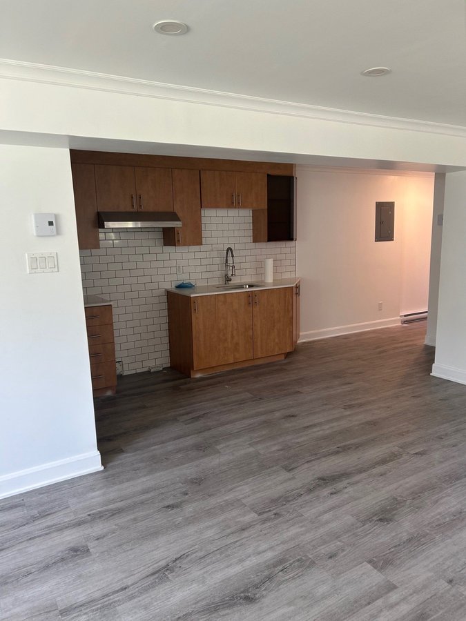 11719 Avenue Désy - Photo 1