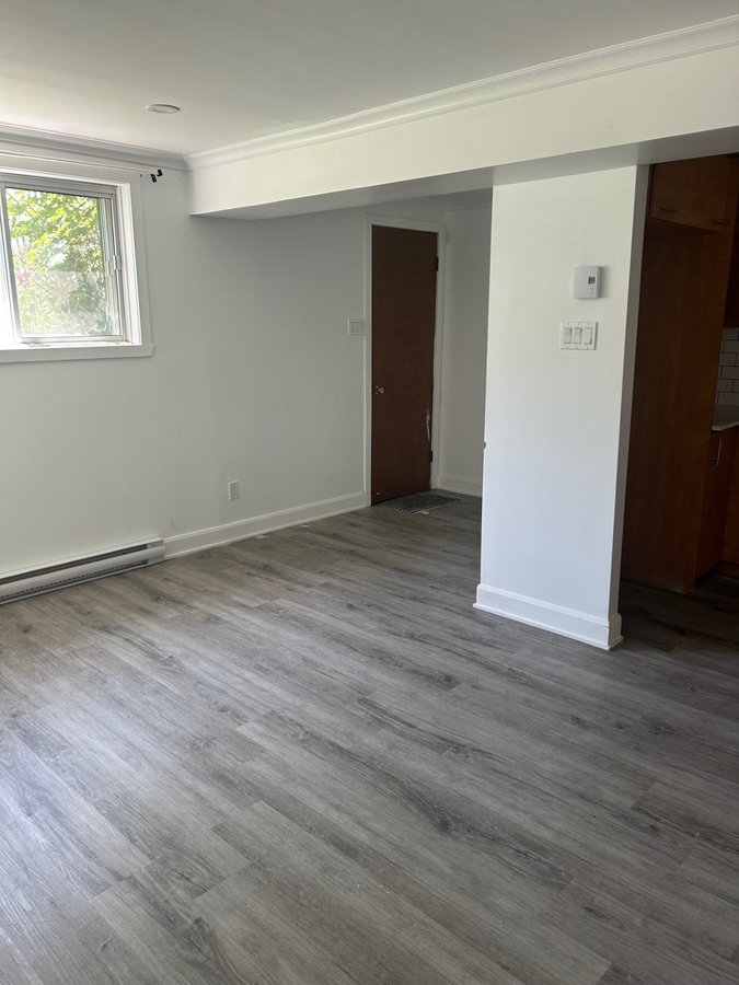 11719 Avenue Désy - Photo 2