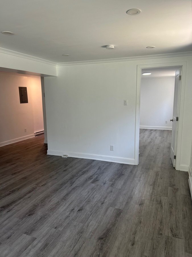 11719 Avenue Désy - Photo 3