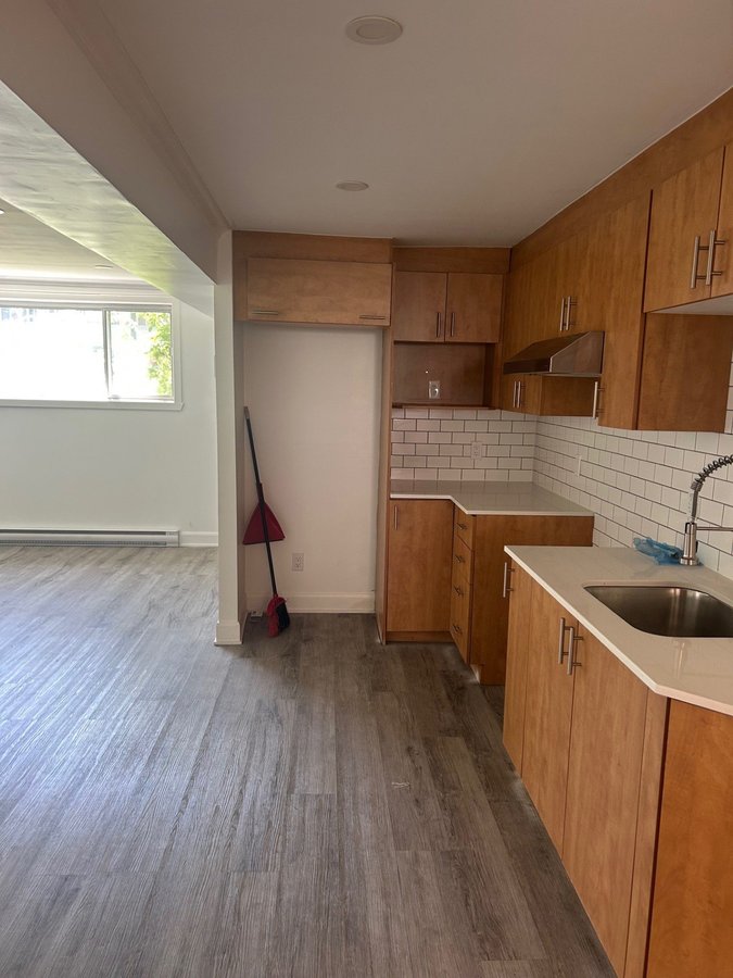 11719 Avenue Désy - Photo 7