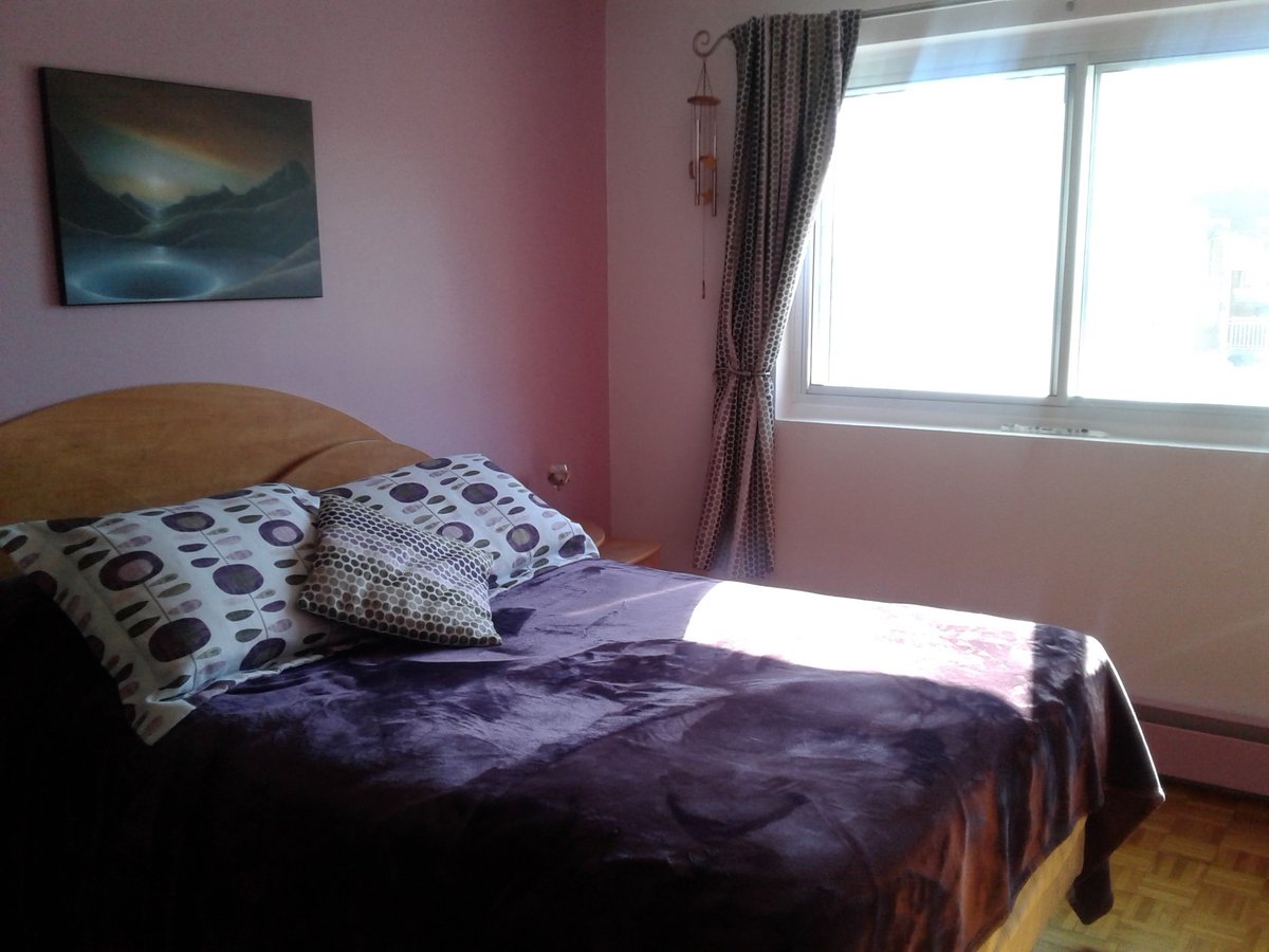 12350 Rue Lapierre - Photo 7