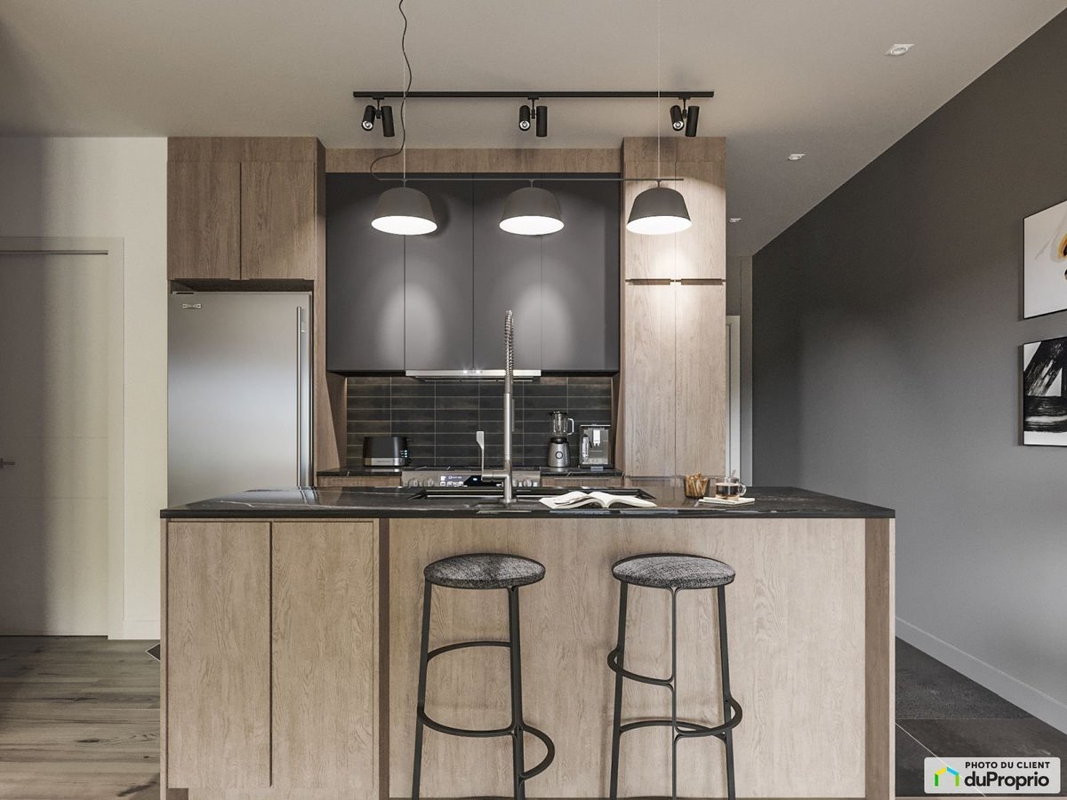 14640 Rue Bernard-Geoffrion - Photo 12
