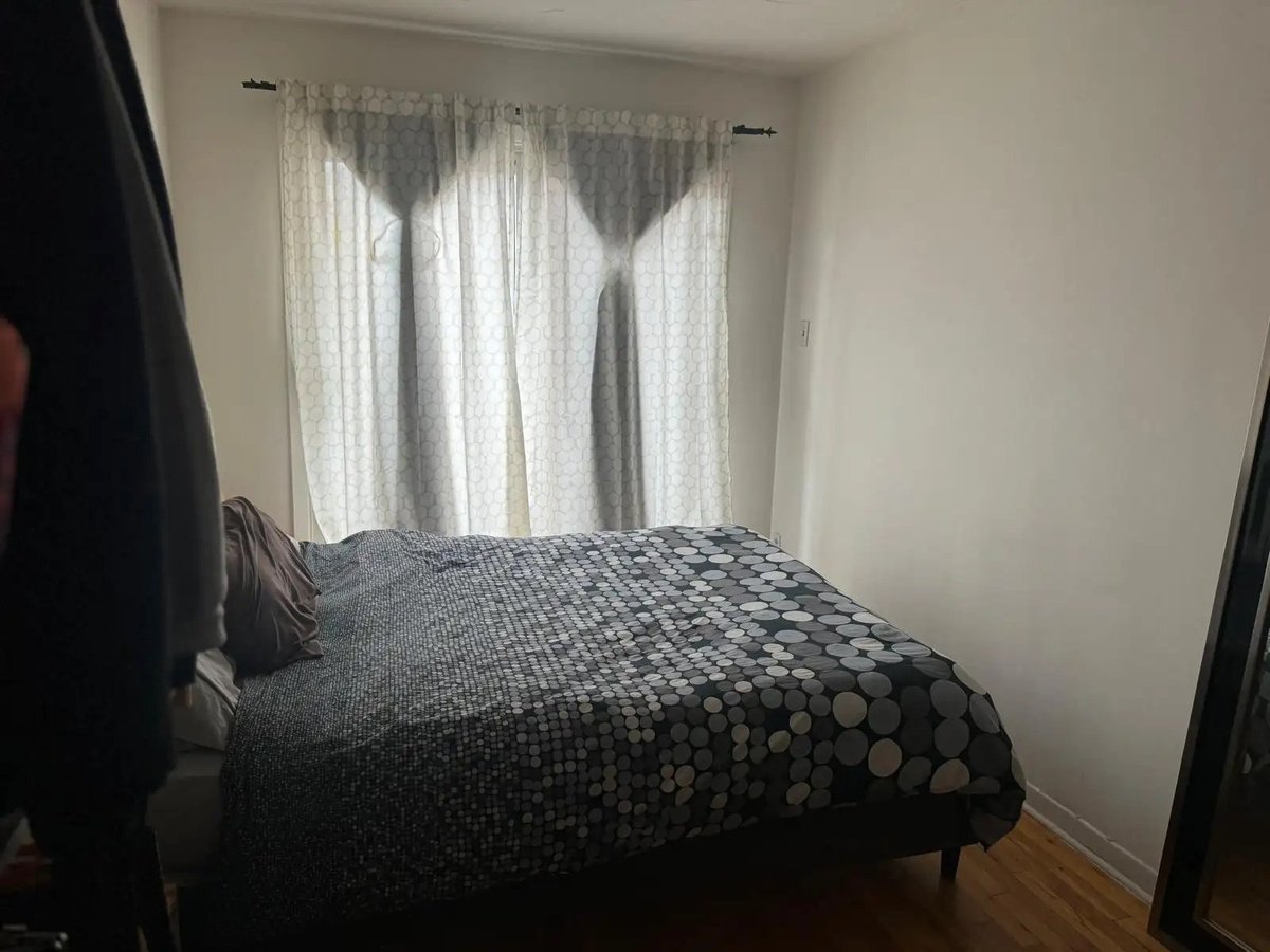 4327 Rue de Bellechasse - Photo 2