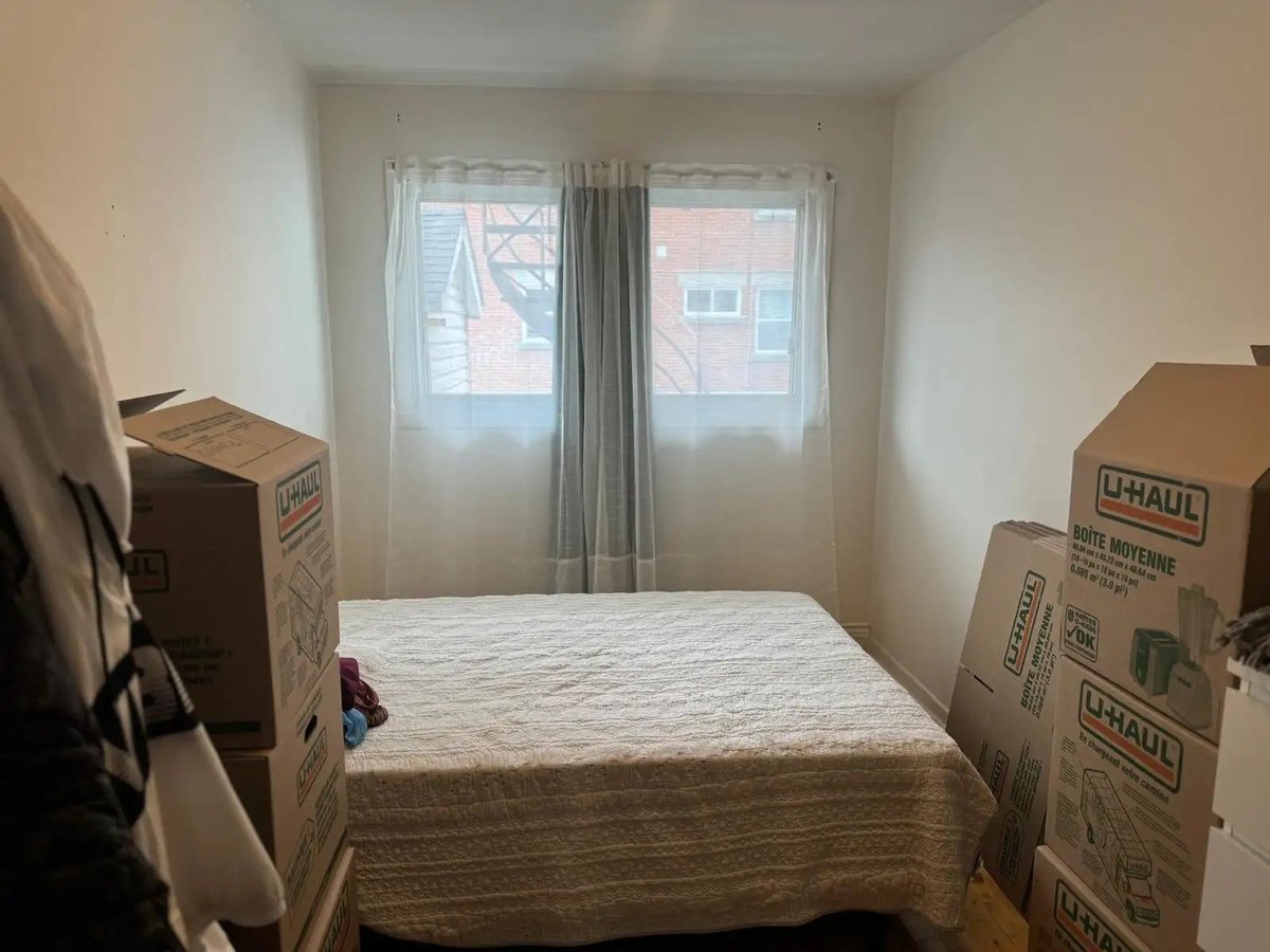 4327 Rue de Bellechasse - Photo 3