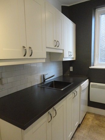 4982 Chemin Queen Mary - Photo 10