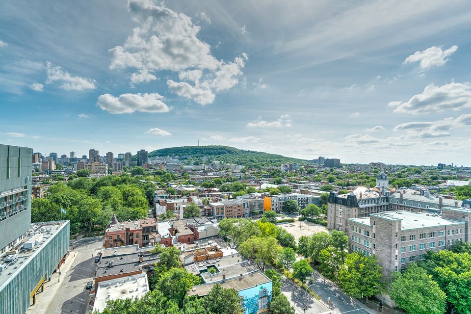 3555 Rue Berri - Photo 10