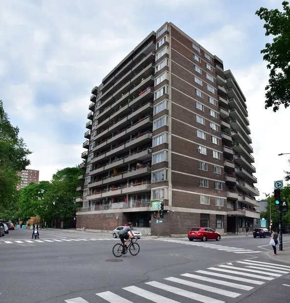 3475 Rue Saint-Urbain - Photo 10