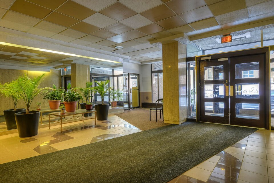 3475 Rue Saint-Urbain - Photo 12