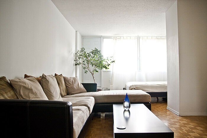 3475 Rue Saint-Urbain - Photo 7