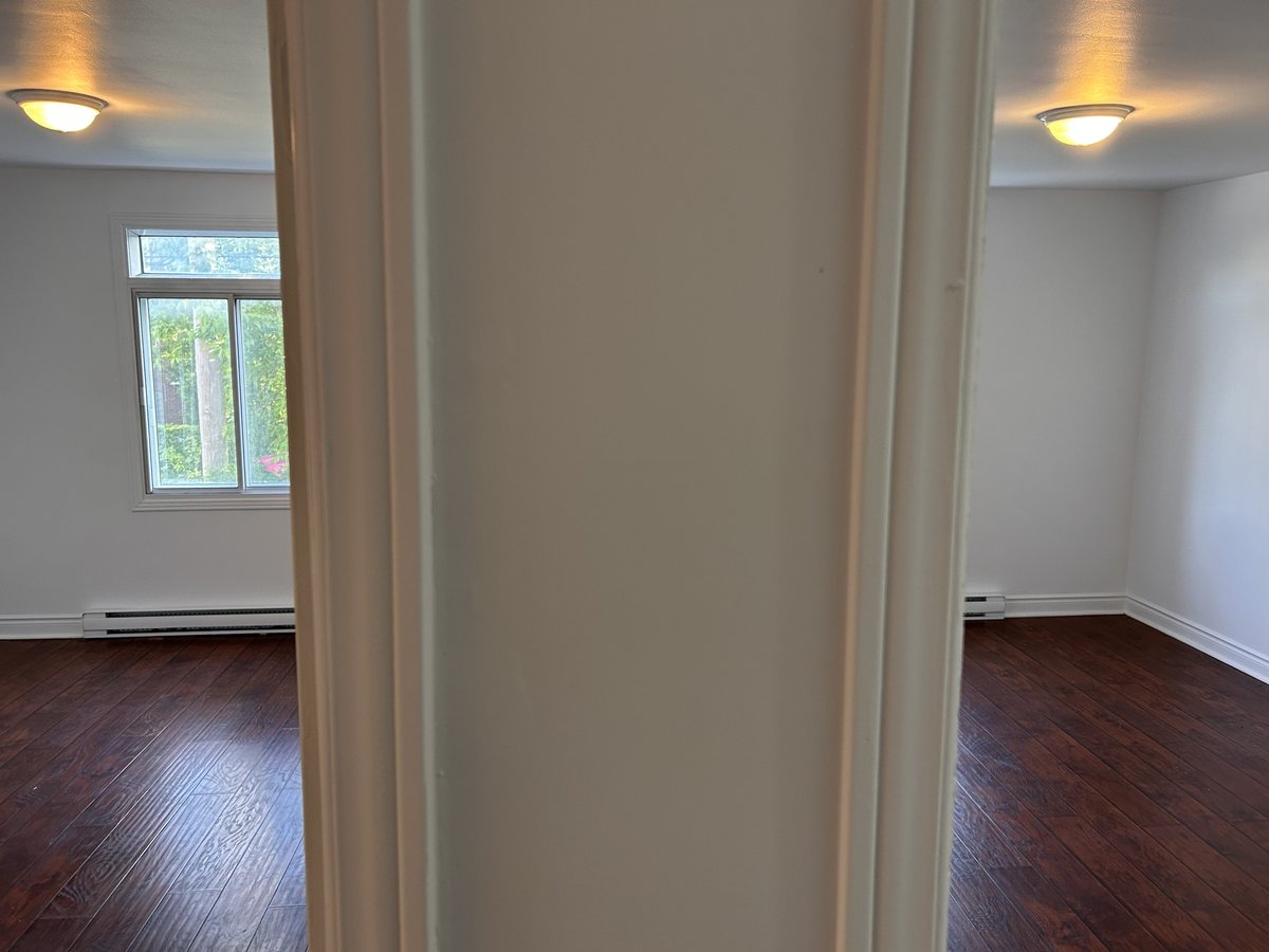 5125 Avenue Randall - Photo 9