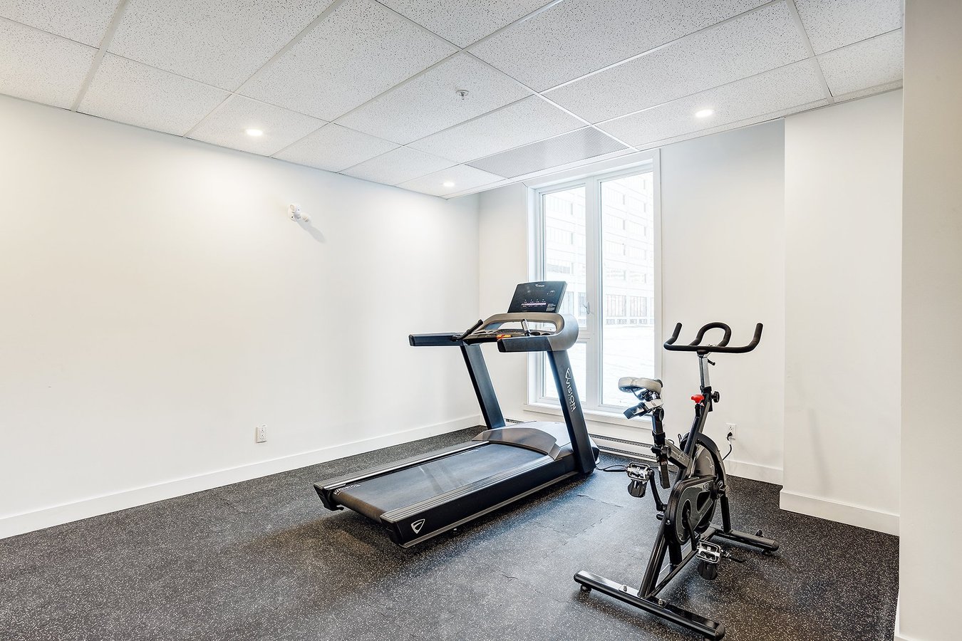 5480 Avenue Henri-Julien - Photo 3