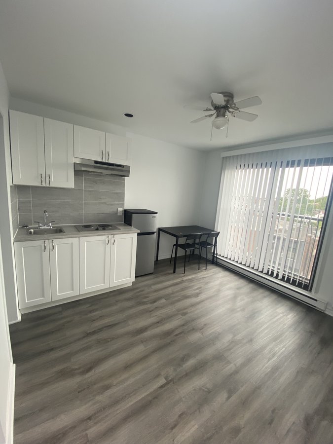 5850 Avenue Papineau - Photo 7