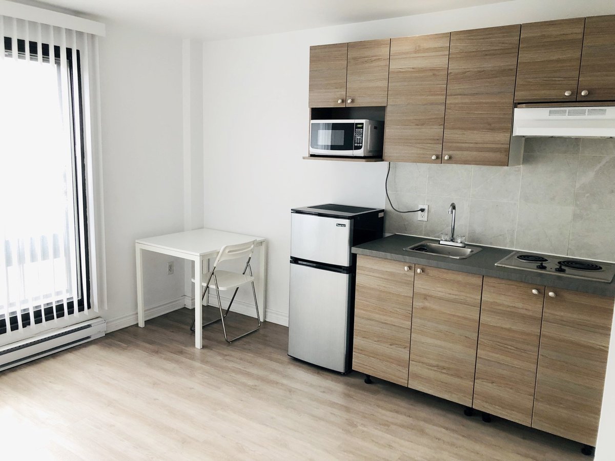 5850 Avenue Papineau - Photo 2