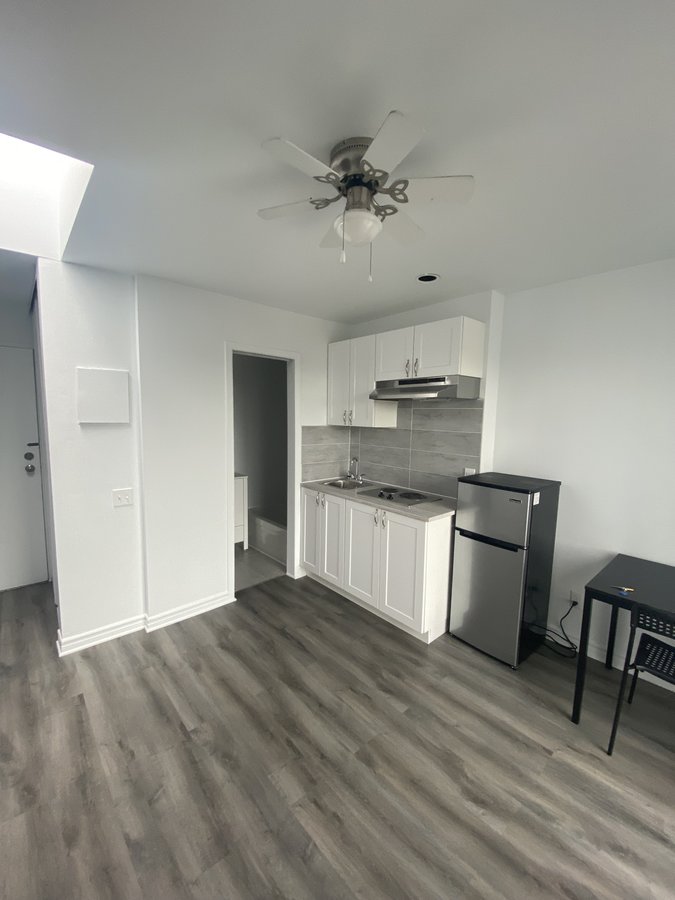 5850 Avenue Papineau - Photo 6