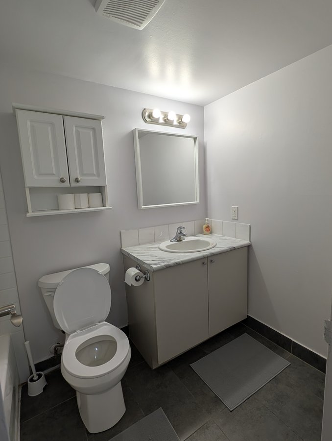 65 Rue Sherbrooke Est - Photo 11