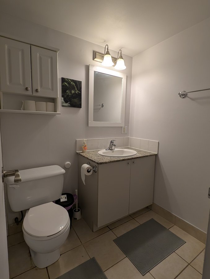 65 Rue Sherbrooke Est - Photo 12