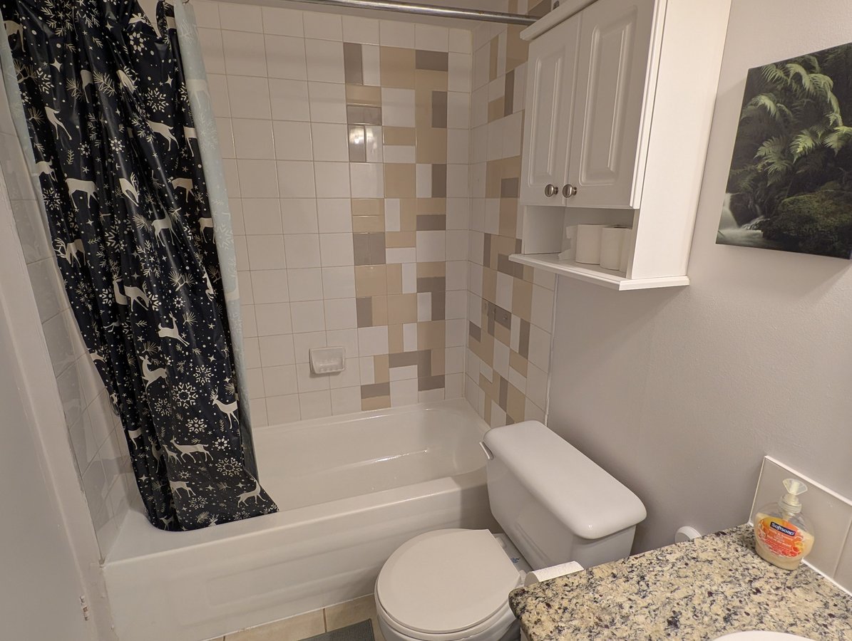 65 Rue Sherbrooke Est - Photo 13